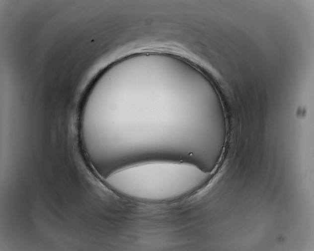 X0000101701506200807101334