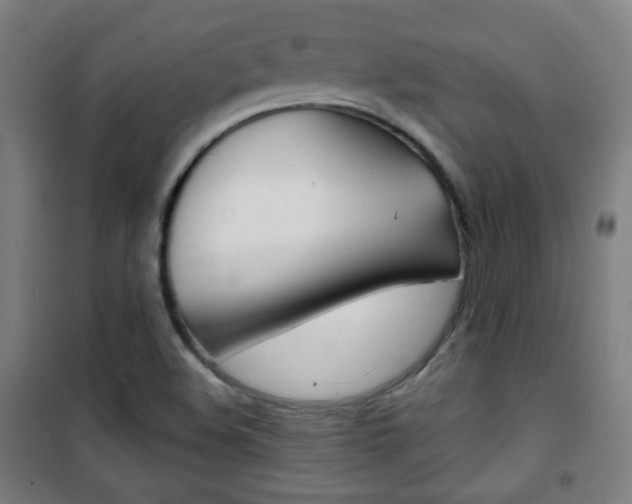 X0000101701508200807101334
