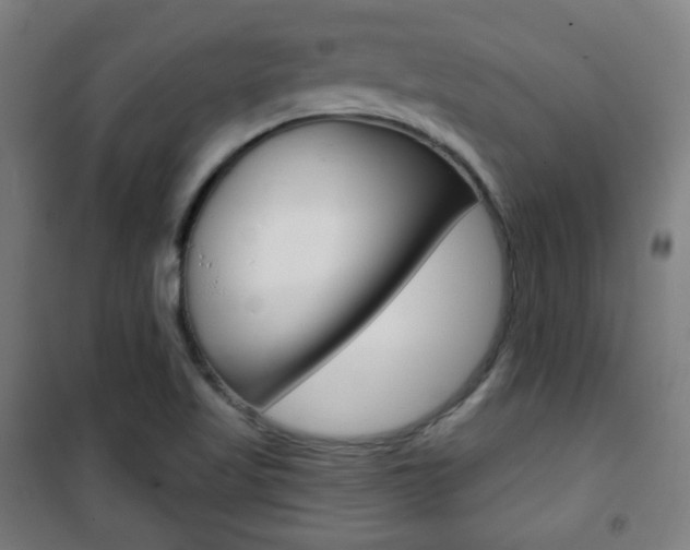 X0000101701509200807101334