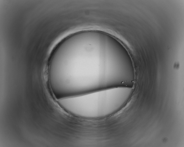 X0000101701510200807101334