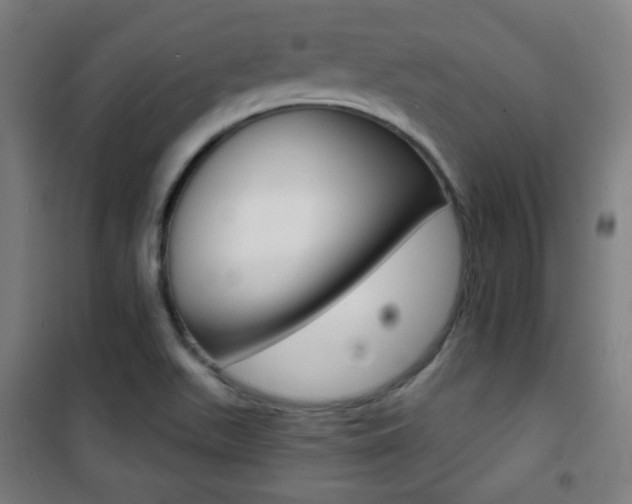 X0000101701511200807101334