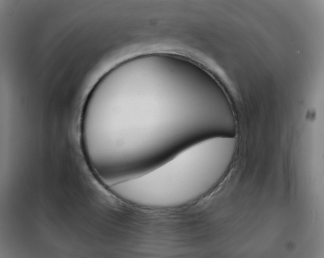 X0000101701512200807101334