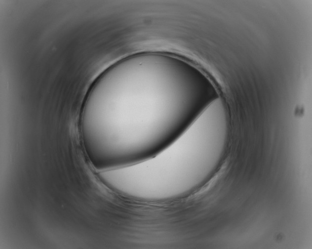 X0000101701513200807101334