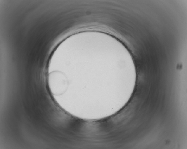 X0000101701514200807101334
