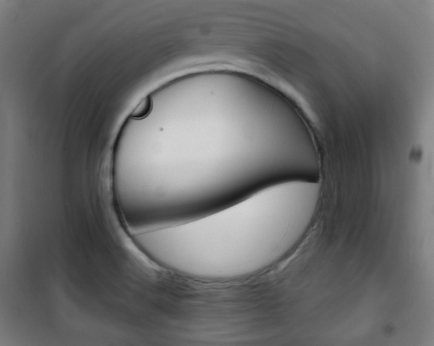 X0000101701516200807101334