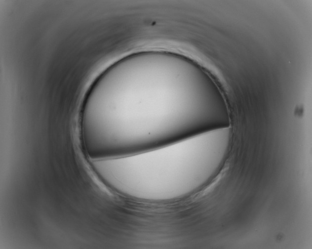X0000101701517200807101334