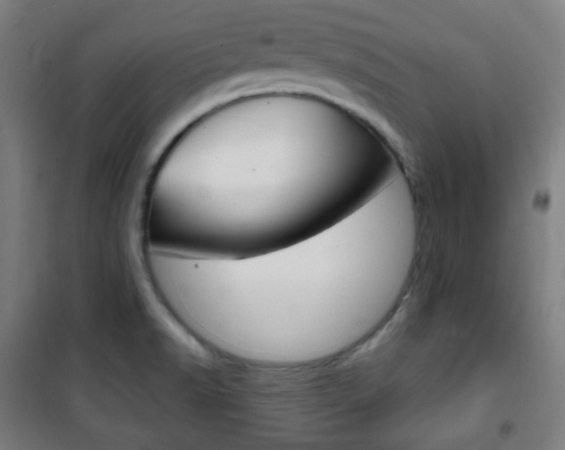 X0000101701518200807101334