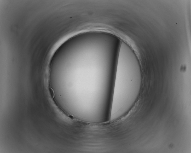X0000101701520200807101334