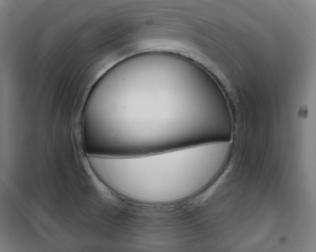 X0000101701521200807101334