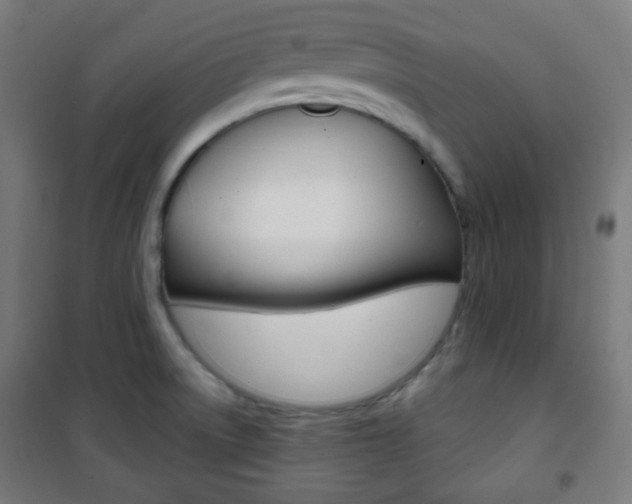 X0000101701522200807101334