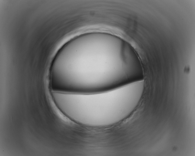 X0000101701523200807101334