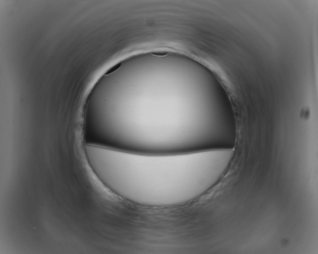 X0000101701524200807101334