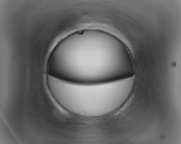 X0000101701525200807101334