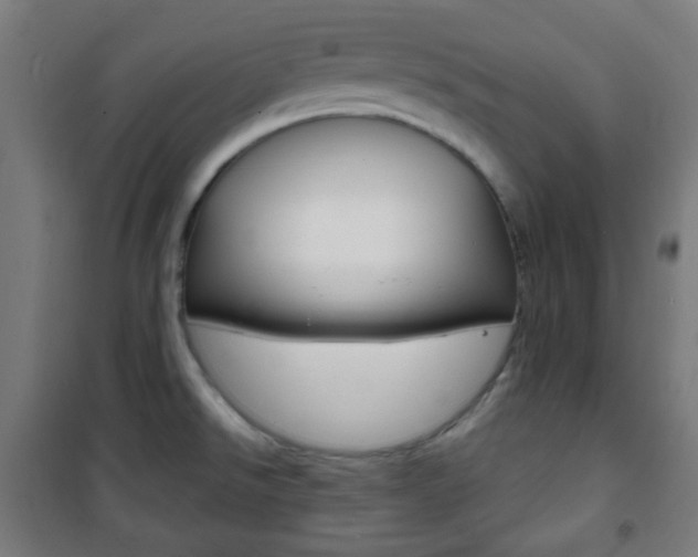 X0000101701526200807101334
