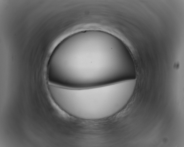 X0000101701527200807101334