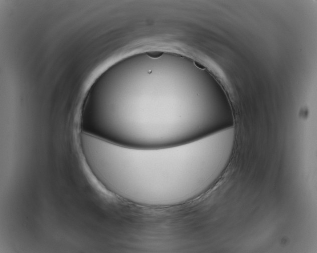X0000101701528200807101334