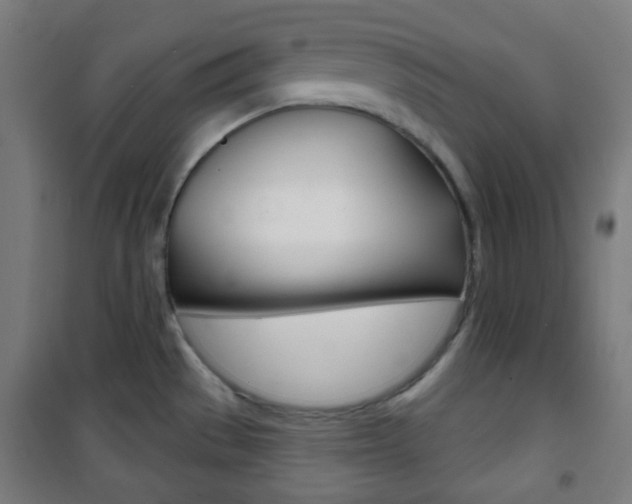X0000101701529200807101334
