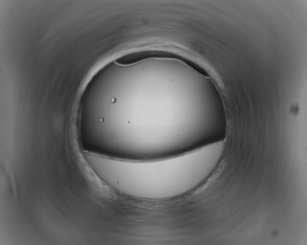 X0000101701530200807101334