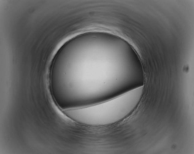 X0000101701531200807101334