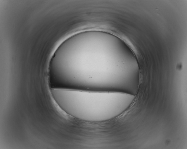 X0000101701532200807101334