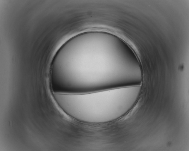 X0000101701533200807101334