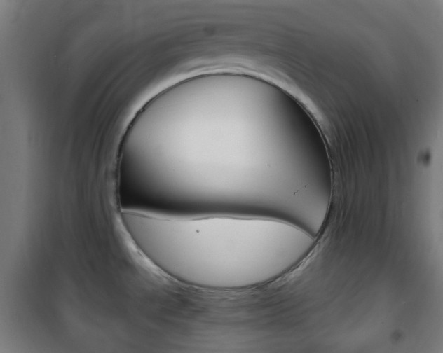 X0000101701534200807101334