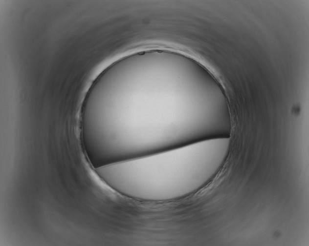 X0000101701535200807101334