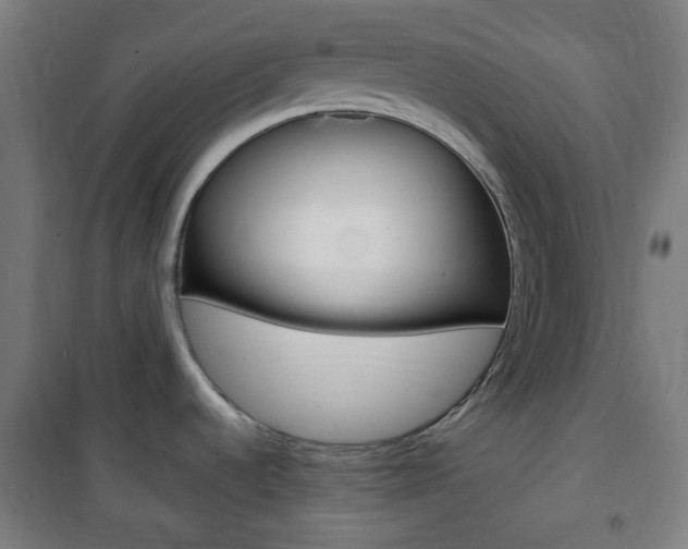 X0000101701536200807101334