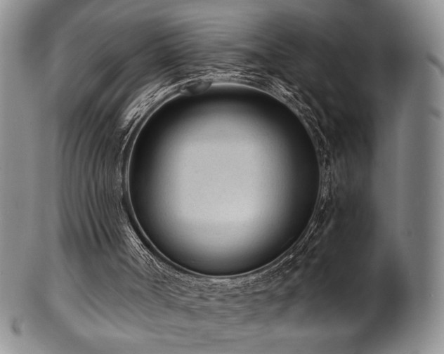 X0000101700002200807101548