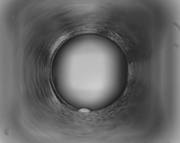 X0000101700003200807101548