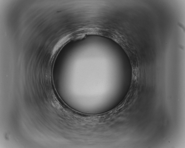 X0000101700004200807101548