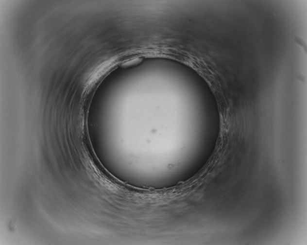 X0000101700005200807101548