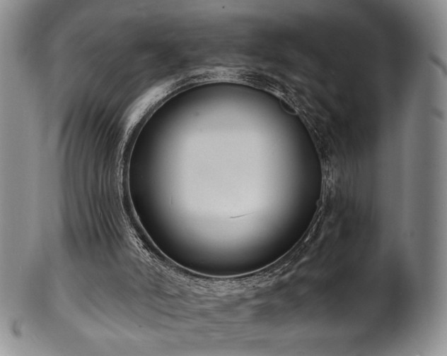 X0000101700006200807101548