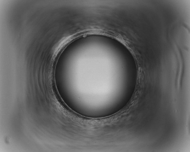 X0000101700007200807101548