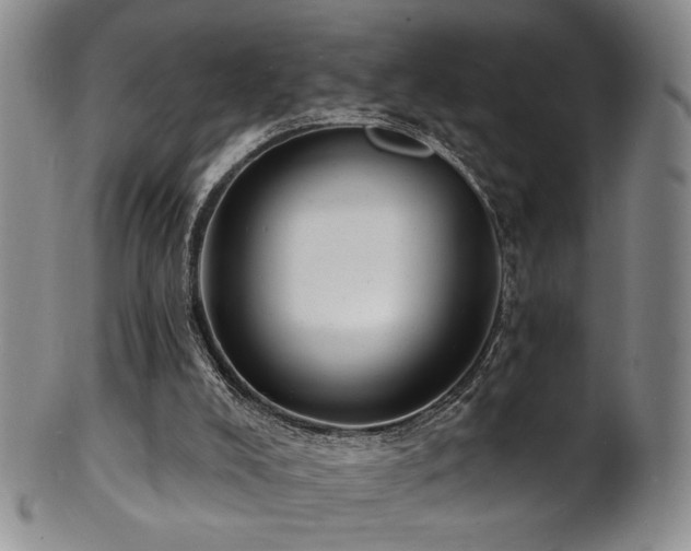 X0000101700008200807101548