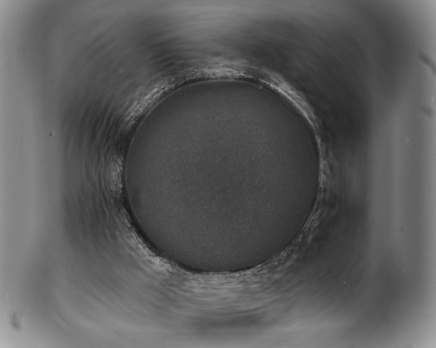 X0000101700009200807101548