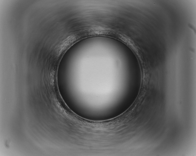 X0000101700010200807101548