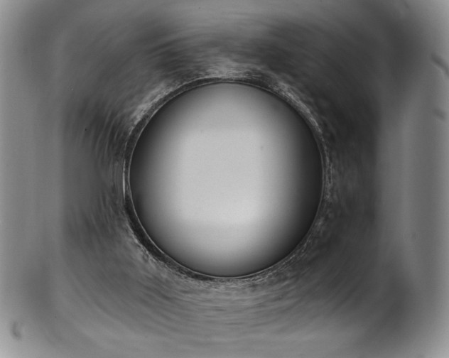 X0000101700011200807101548