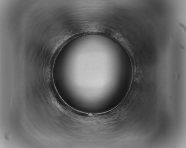 X0000101700012200807101548