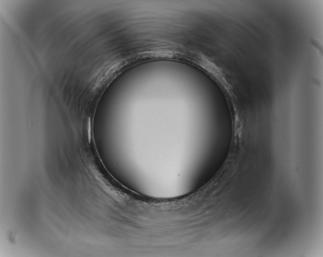 X0000101700013200807101548