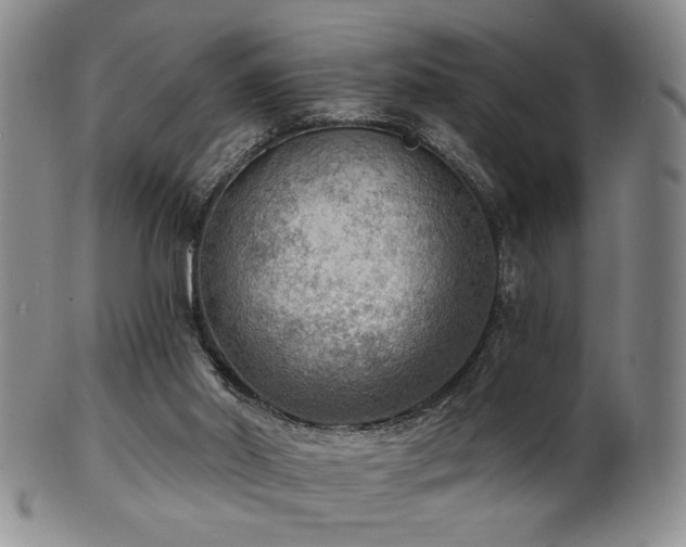 X0000101700014200807101548