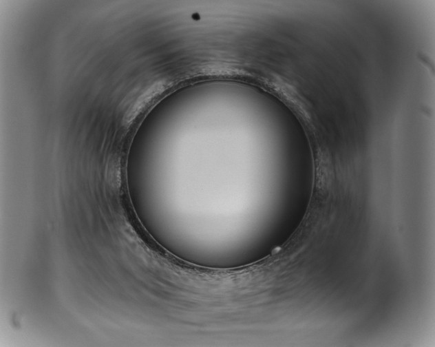 X0000101700015200807101548