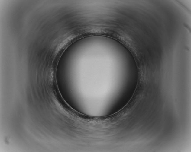 X0000101700016200807101547