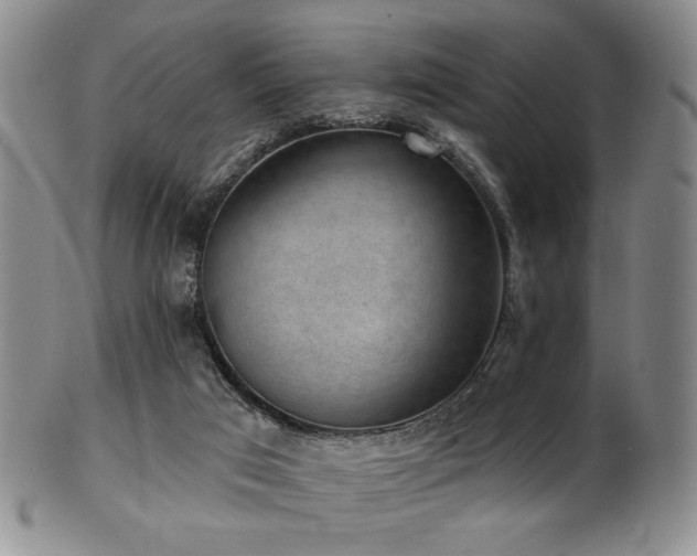 X0000101700017200807101547