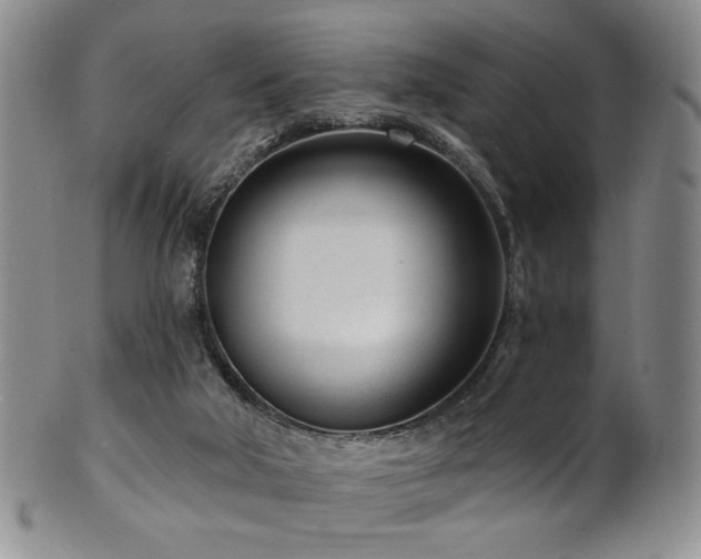 X0000101700018200807101547