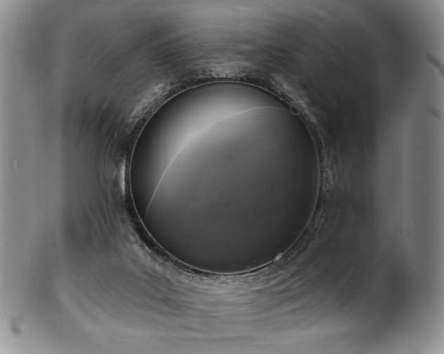 X0000101700019200807101547