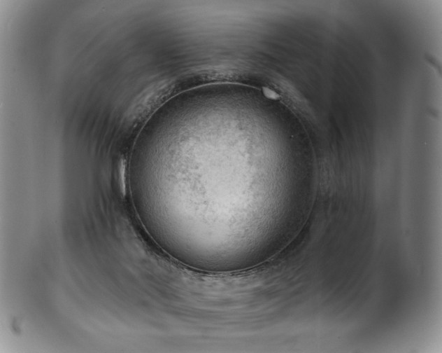 X0000101700022200807101547