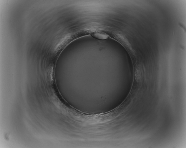 X0000101700023200807101547