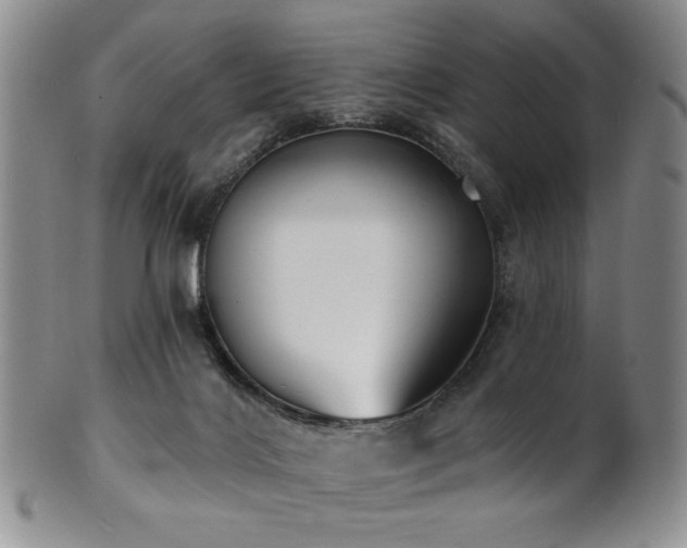 X0000101700028200807101547