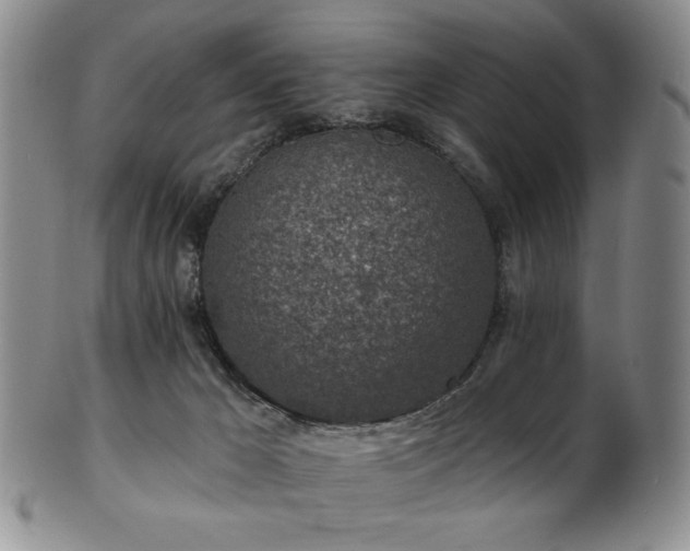 X0000101700029200807101547